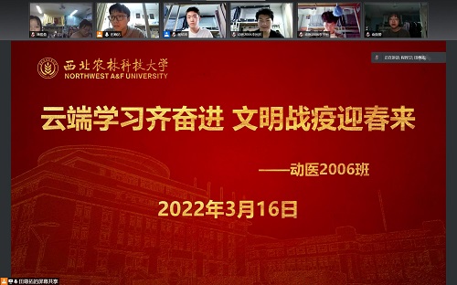 a6a946d5be224eff9bacacb2c986182d.jpg 公司副经理程捍卫指导专题学习.jpg