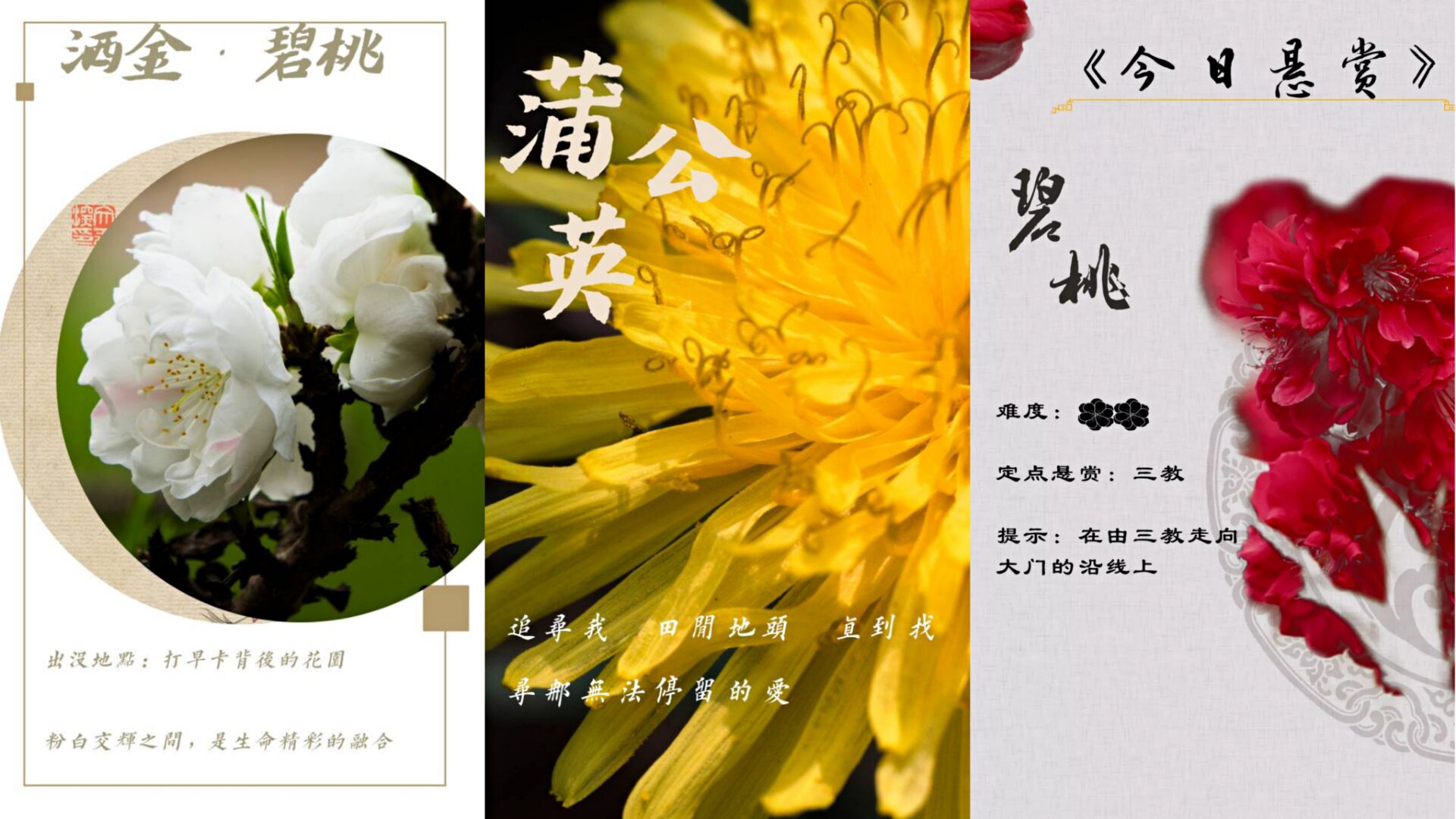 26dddd78c67f426cb8d9f28c28bf3ea9.jpg 26dddd78c67f426cb8d9f28c28bf3ea9.jpg