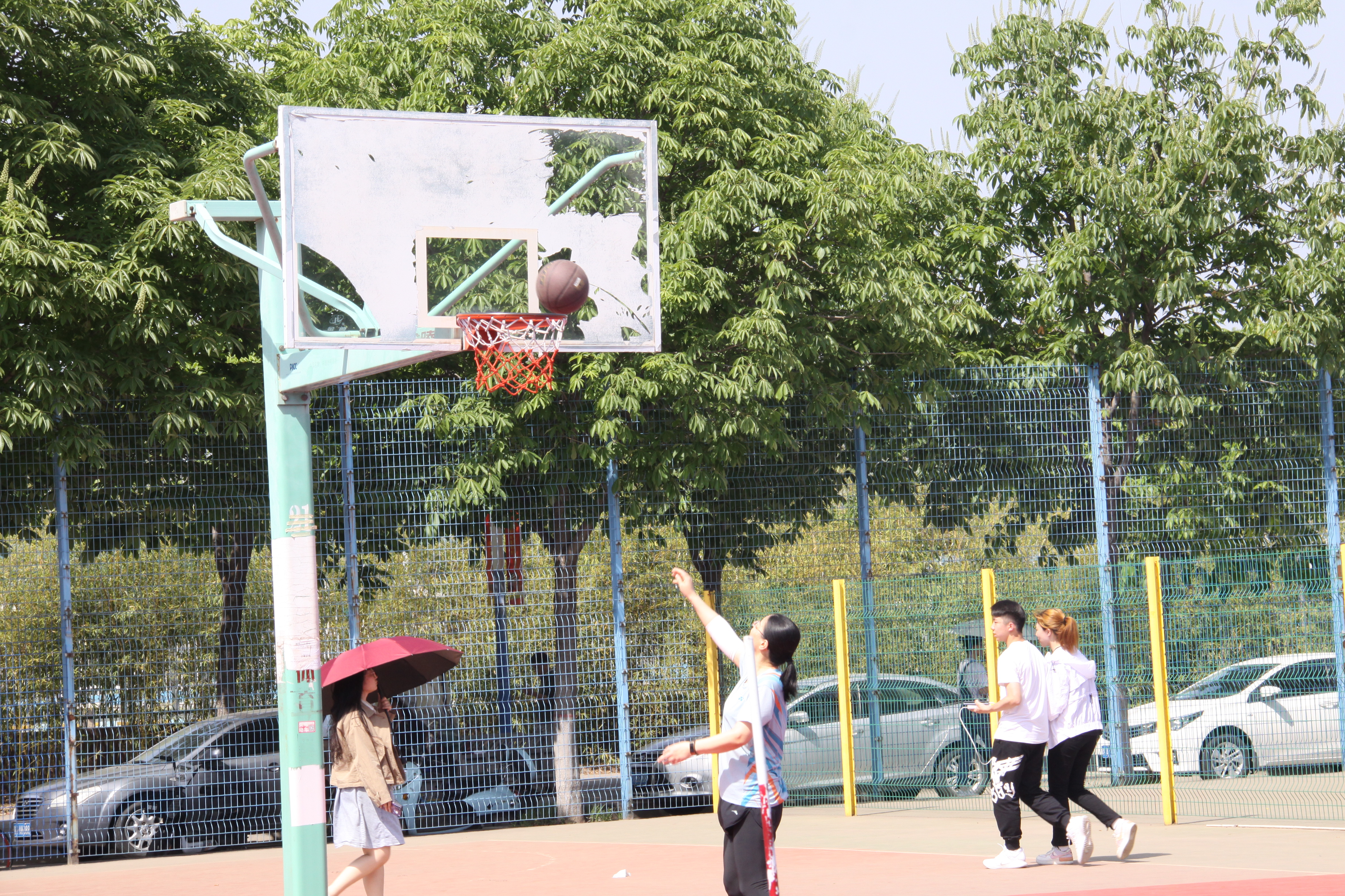 74360322f34d4e94a4b7613cfde9d0ba.jpg 74360322f34d4e94a4b7613cfde9d0ba.jpg