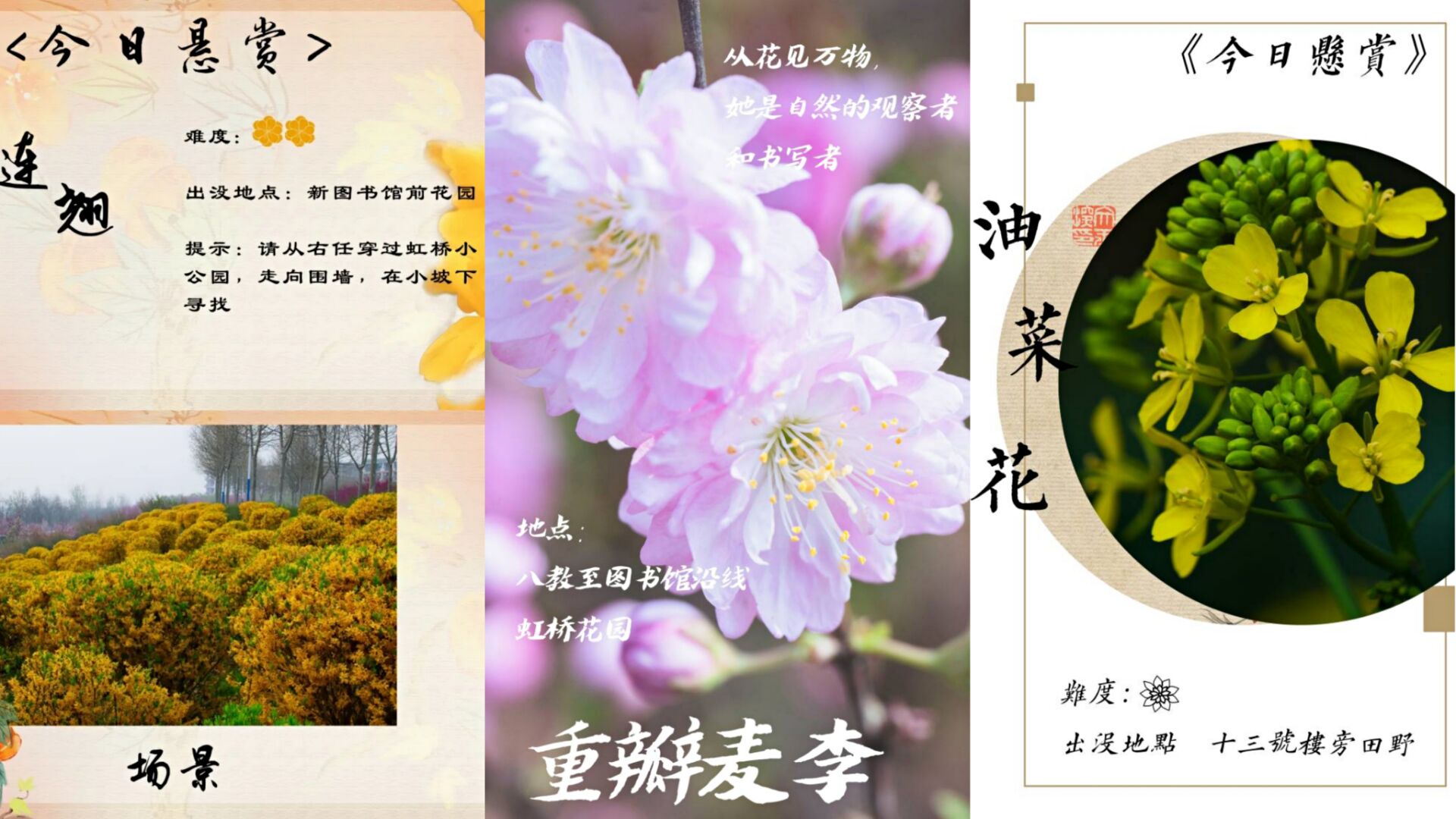 ed7d5ee133974564ad18020bb1b4af66.jpg ed7d5ee133974564ad18020bb1b4af66.jpg