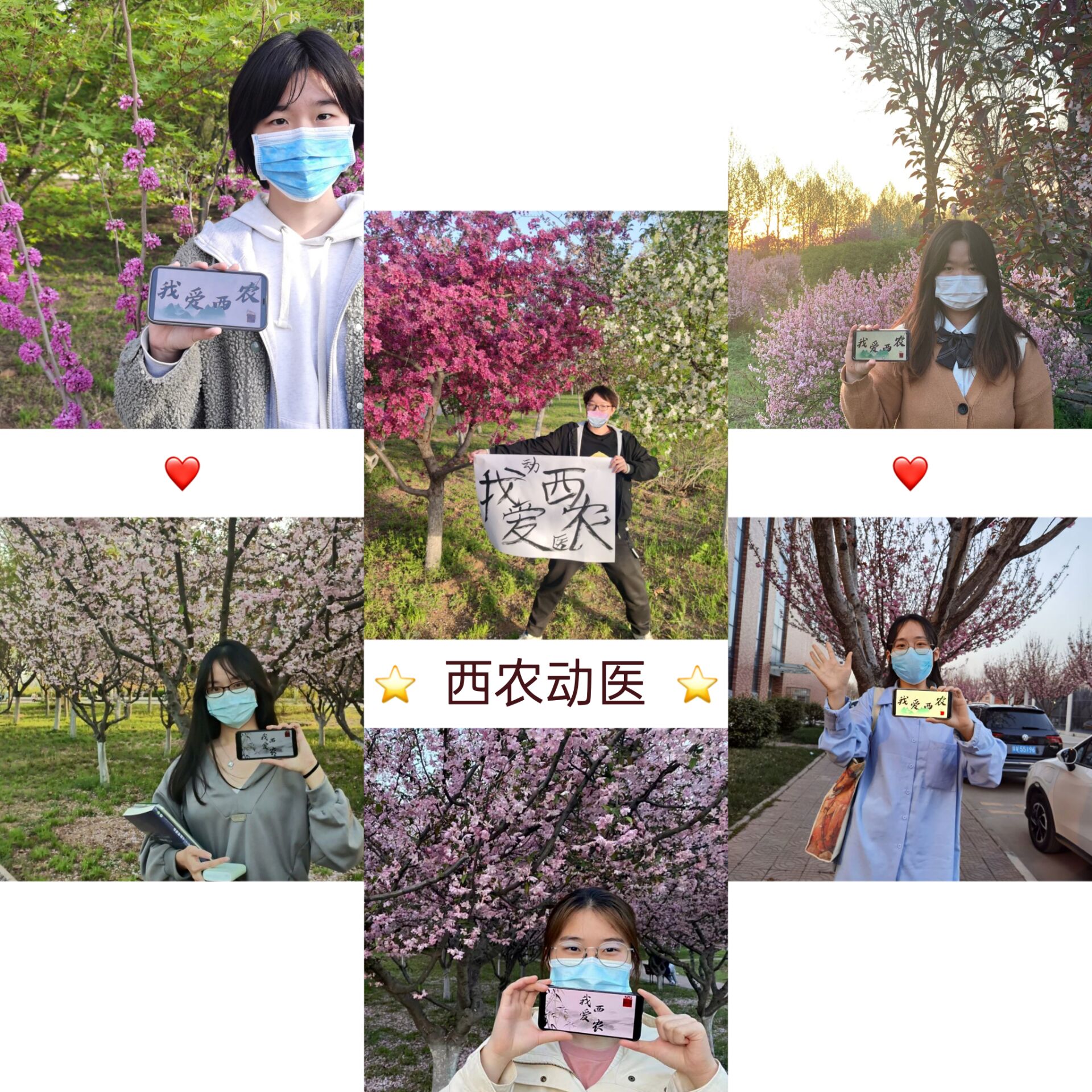 f2c01d40b94a41be85ea41856bcb7b6b.jpg f2c01d40b94a41be85ea41856bcb7b6b.jpg