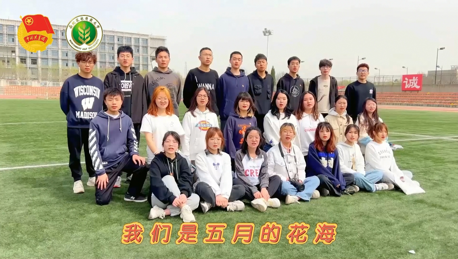 1cb1b31a93844f088e14a98dfe2955f7.jpg 1cb1b31a93844f088e14a98dfe2955f7.jpg