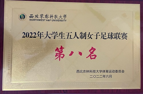 0b71ee473e154f26a59a0c9f32ad2792.png 0b71ee473e154f26a59a0c9f32ad2792.png