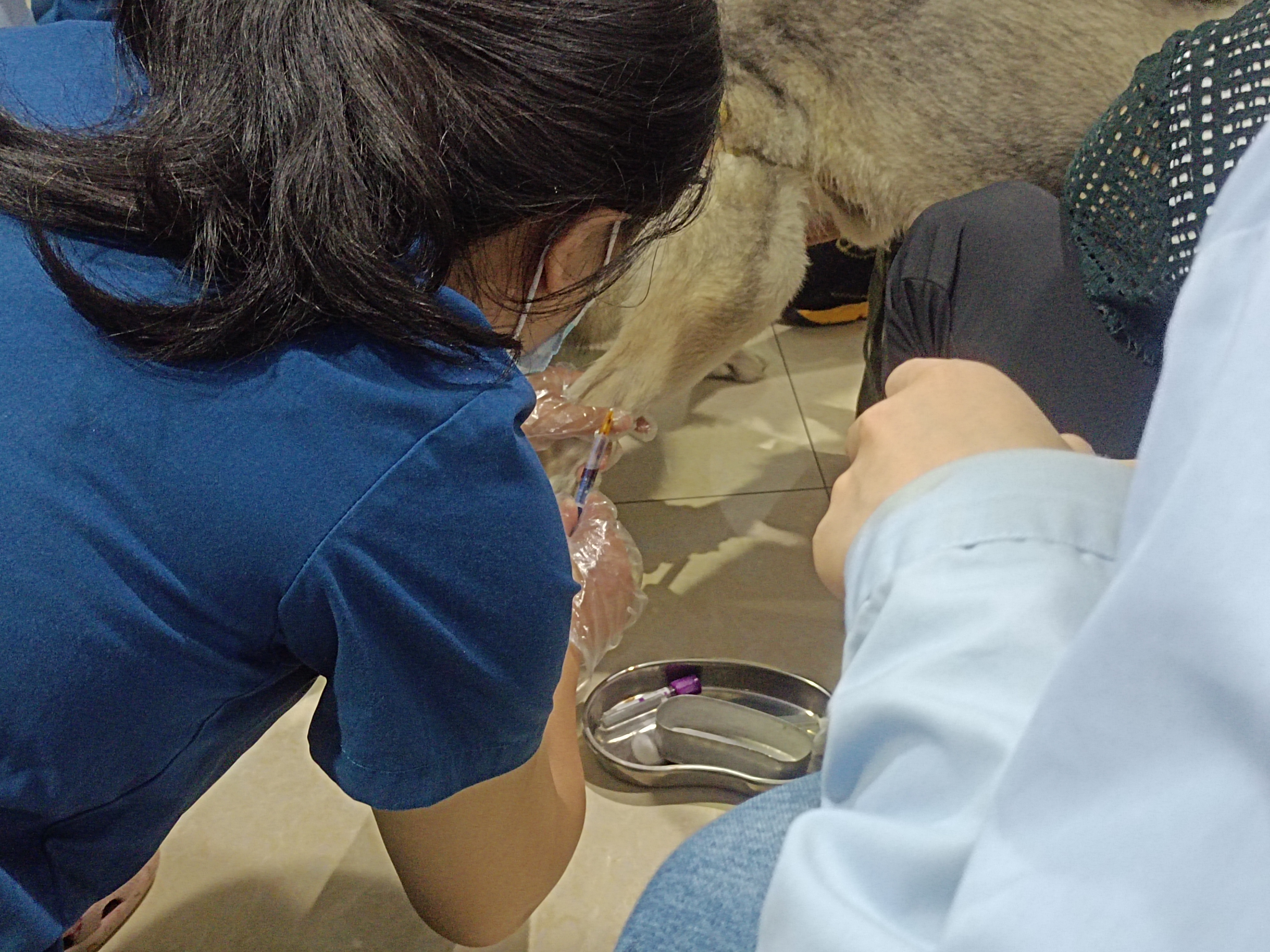 04af840221ee4720aab8820752eea7d6.jpg 04af840221ee4720aab8820752eea7d6.jpg