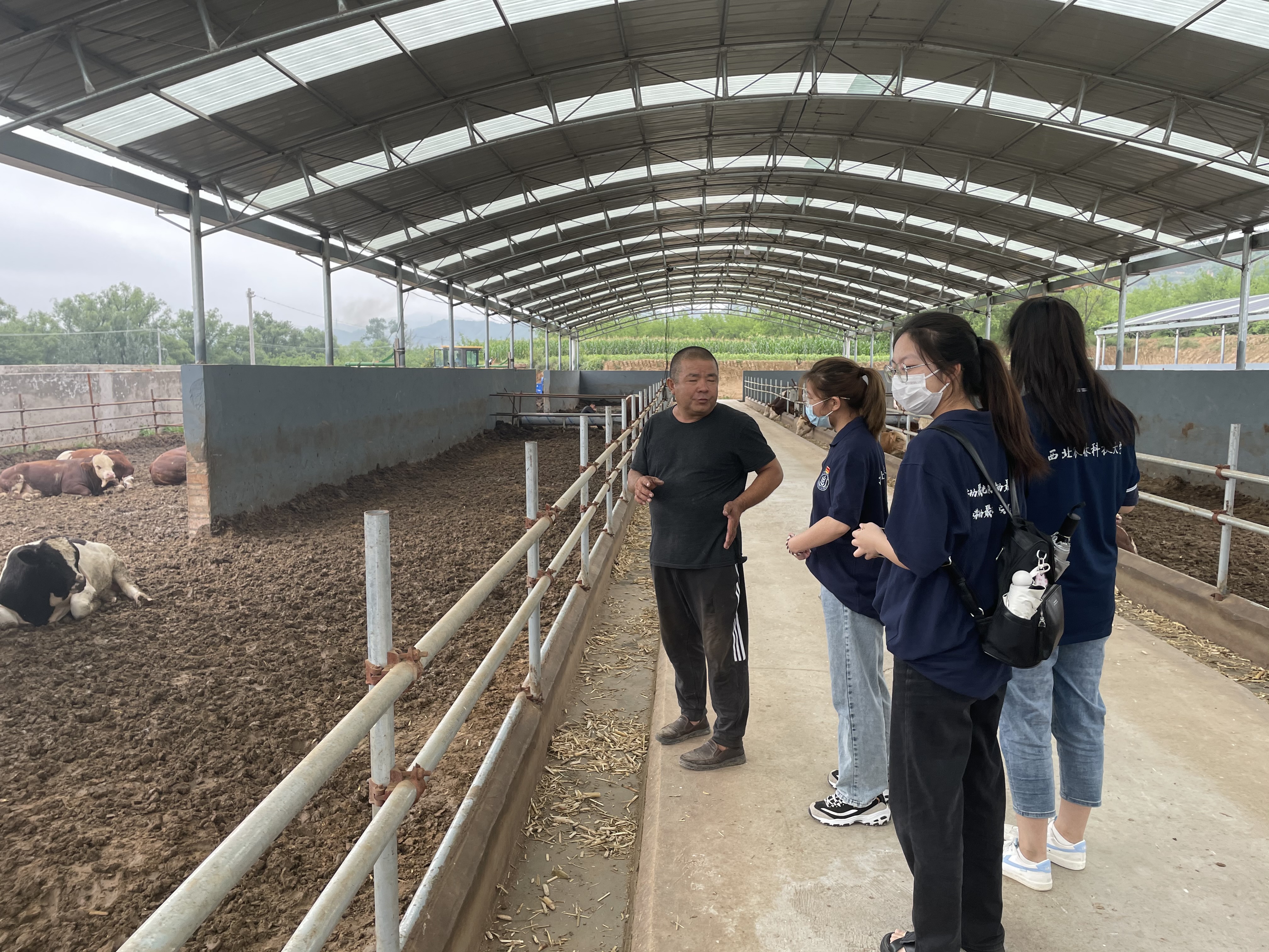 32833c7dd76840e38847d8e10249662b.jpeg 32833c7dd76840e38847d8e10249662b.jpeg