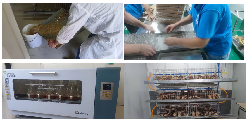 3d4d953d5fd94f6aa81cf12839d8912b.png 3d4d953d5fd94f6aa81cf12839d8912b.png