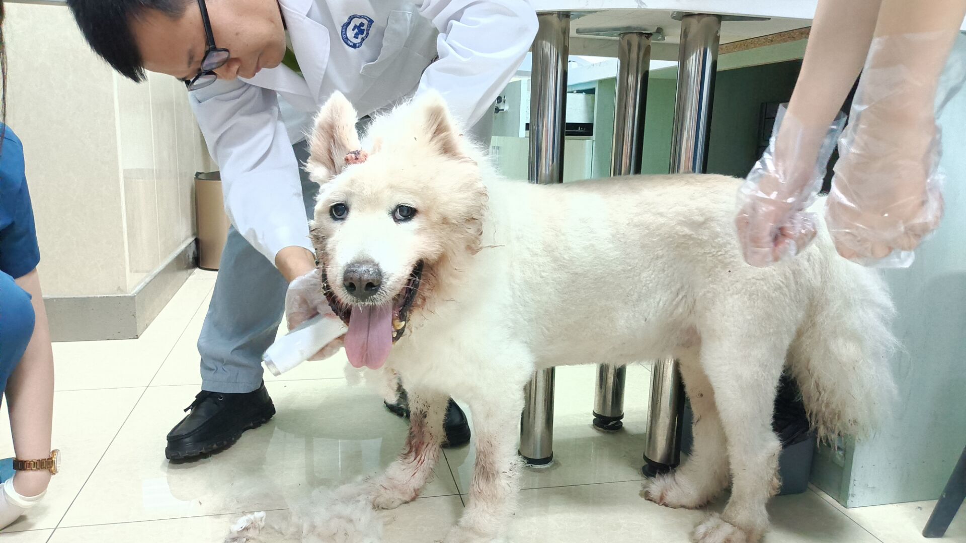 6380429e257147aca9e4111f080ae029.jpg 6380429e257147aca9e4111f080ae029.jpg