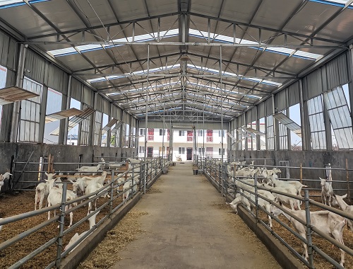 833987ebc3f24b488b818185c3fa7694.jpg 833987ebc3f24b488b818185c3fa7694.jpg