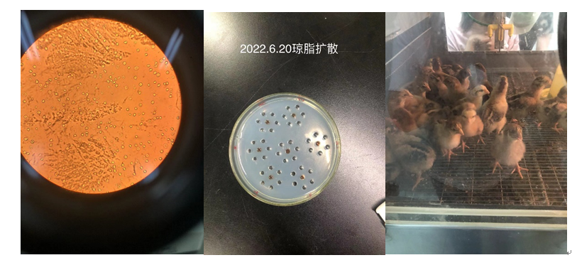 8c561a1b19a1423eba2945d0e2da06c0.png 8c561a1b19a1423eba2945d0e2da06c0.png