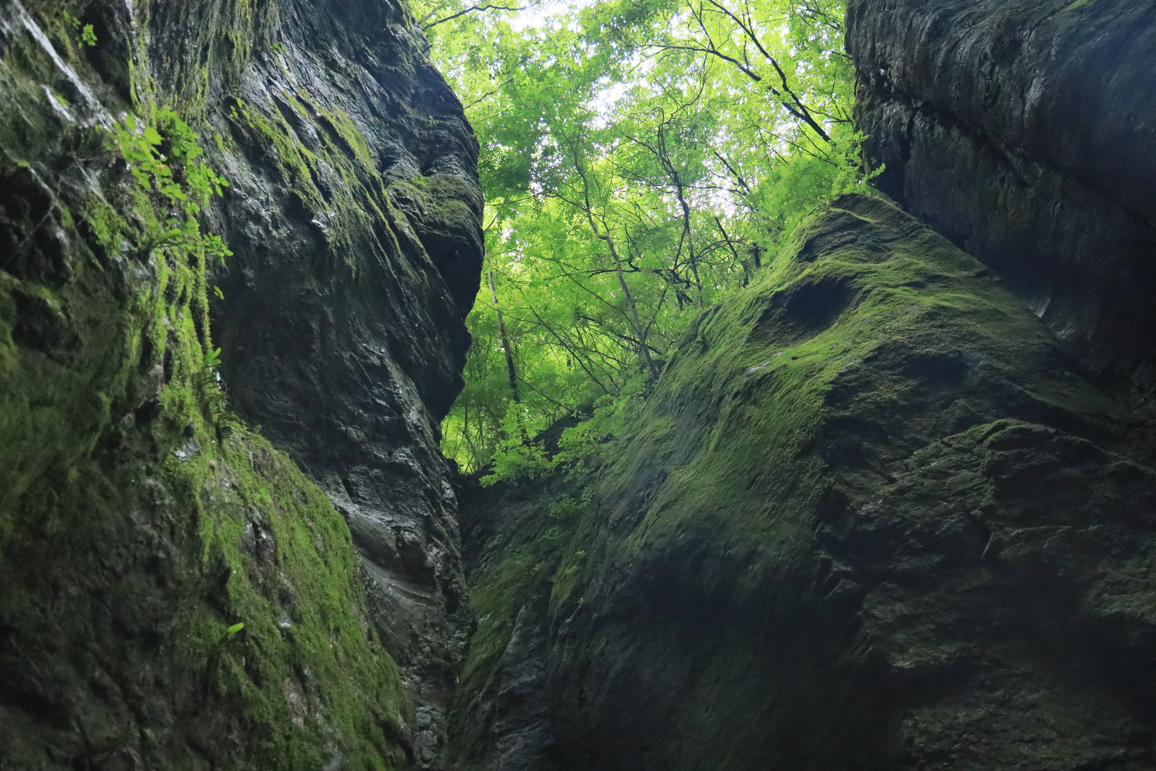 9997f6a7e32842309c1ceb087b066eb7.jpg 9997f6a7e32842309c1ceb087b066eb7.jpg