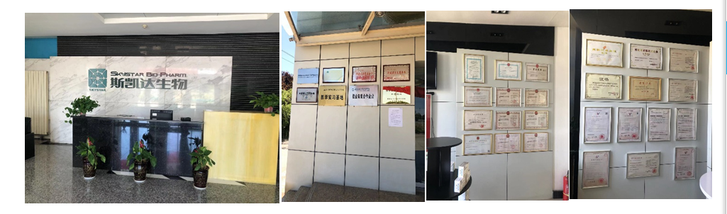 aa89c2ffa6504879bce10ff4cc7ea52c.png aa89c2ffa6504879bce10ff4cc7ea52c.png