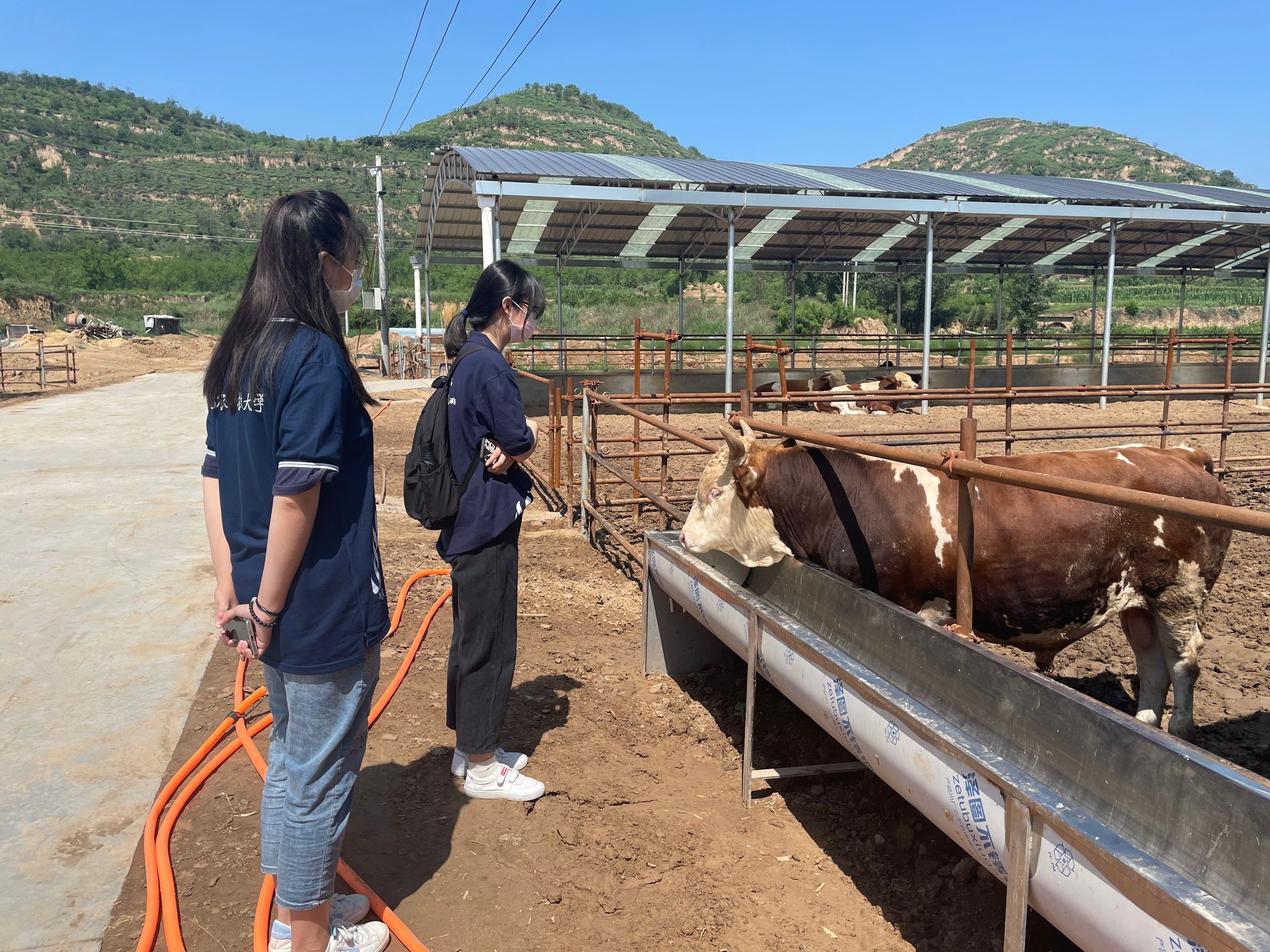 f4ee99cbe2a0442a87f80727527a75da.jpg f4ee99cbe2a0442a87f80727527a75da.jpg