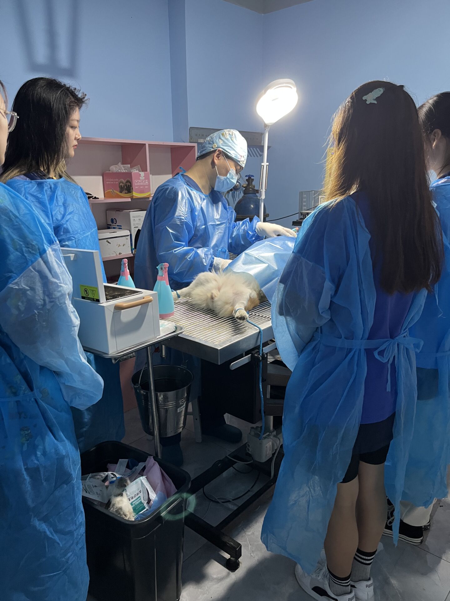 5ac79a8c0ee249ca9540a996dfd0d517.jpg 5ac79a8c0ee249ca9540a996dfd0d517.jpg