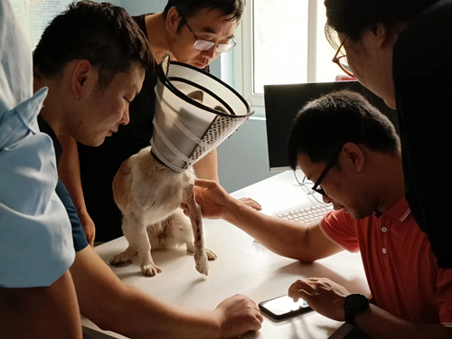 911660eb50964e978d5016668405abc3.jpg 队员学习临床诊断.jpg