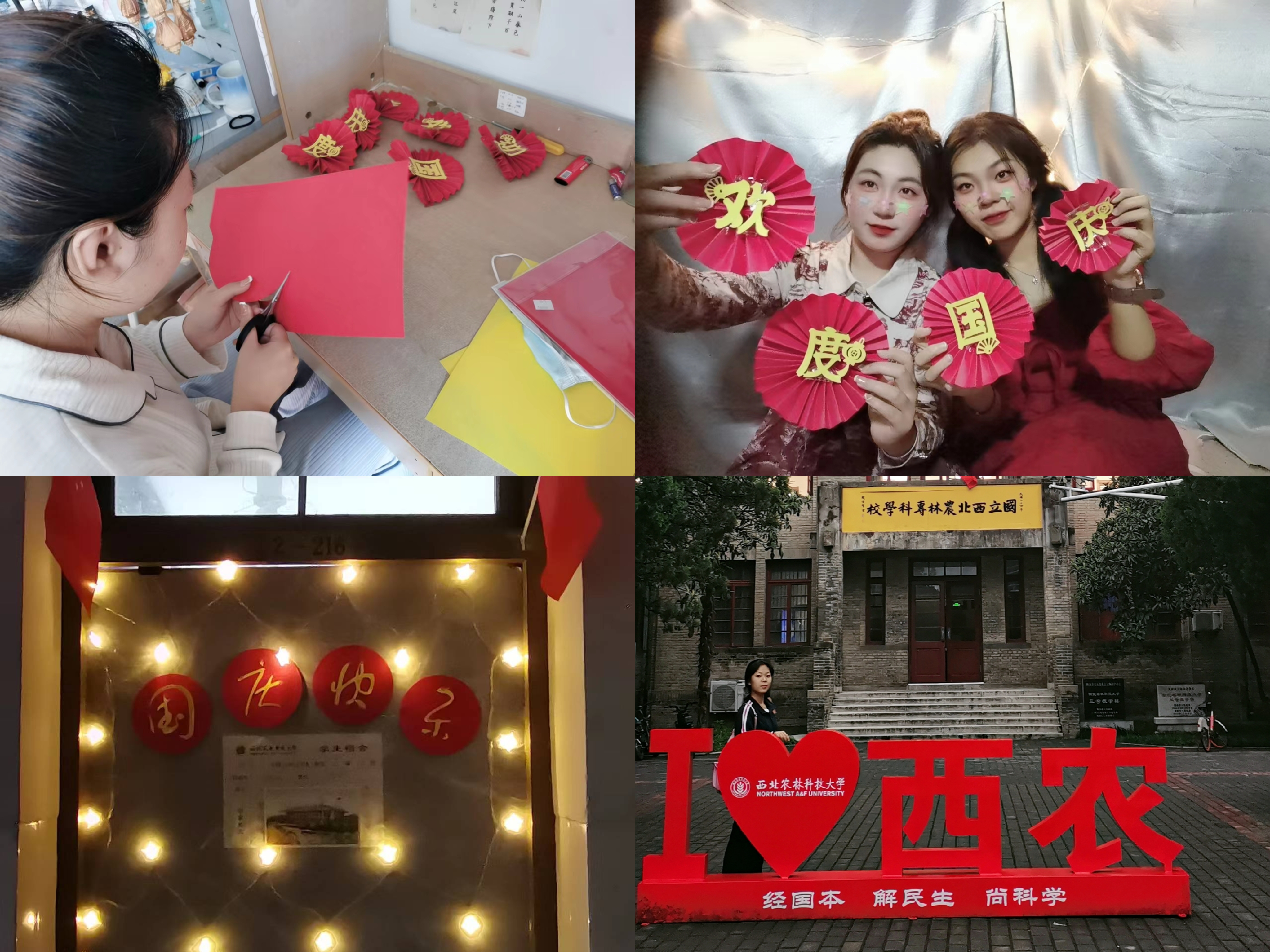 c81f45170f7648399905a6f22c71dcde.jpg c81f45170f7648399905a6f22c71dcde.jpg