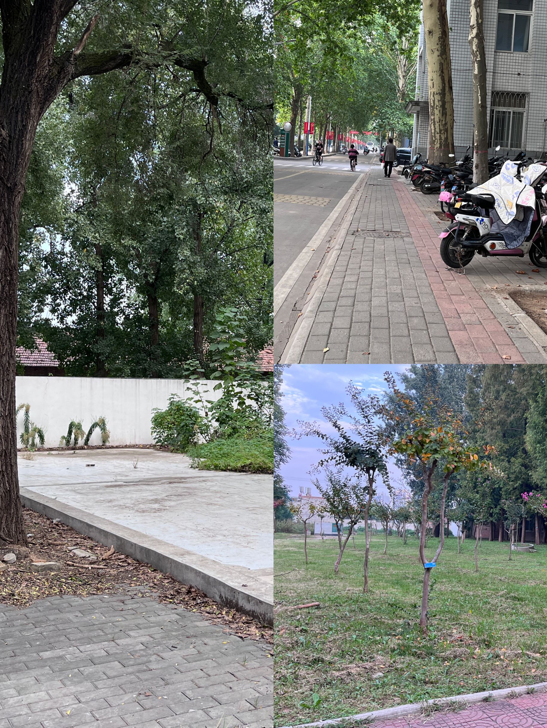 e005291abe914e66a0832b04d6d67a03.png e005291abe914e66a0832b04d6d67a03.png